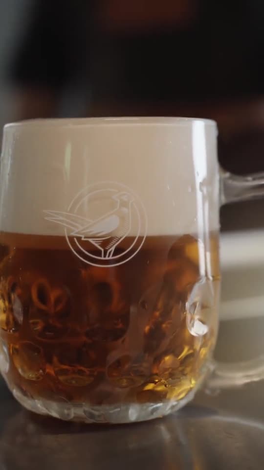 Načapované pivo v pohári na barovom pulte